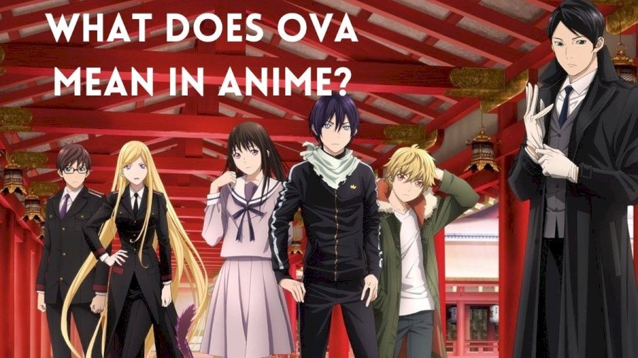 OVA mean in anime